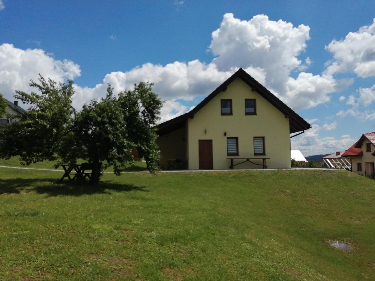 Domki Pod Beskidem Jaworzynka Exteriér fotografie